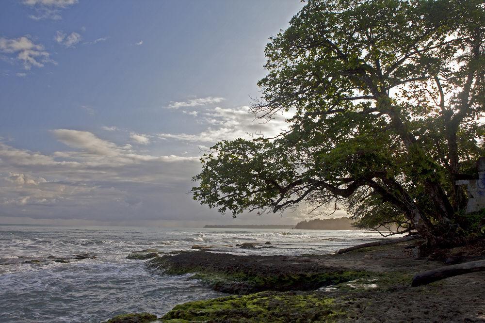 Hotel Caribbean Coconut カウイータ エクステリア 写真