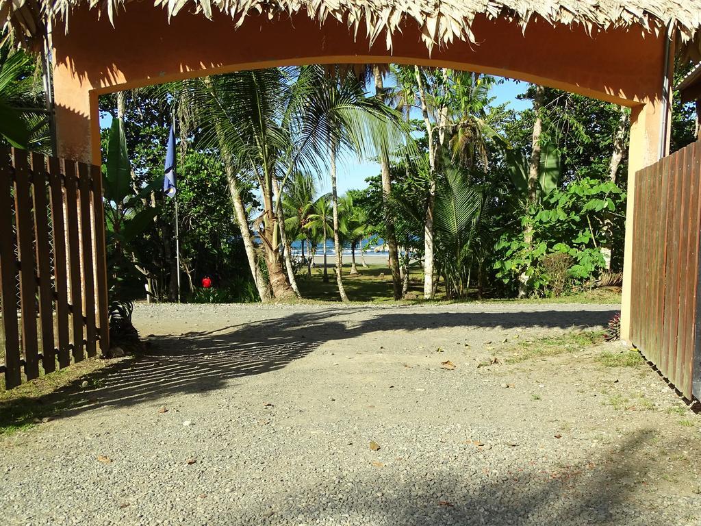 Hotel Caribbean Coconut カウイータ エクステリア 写真
