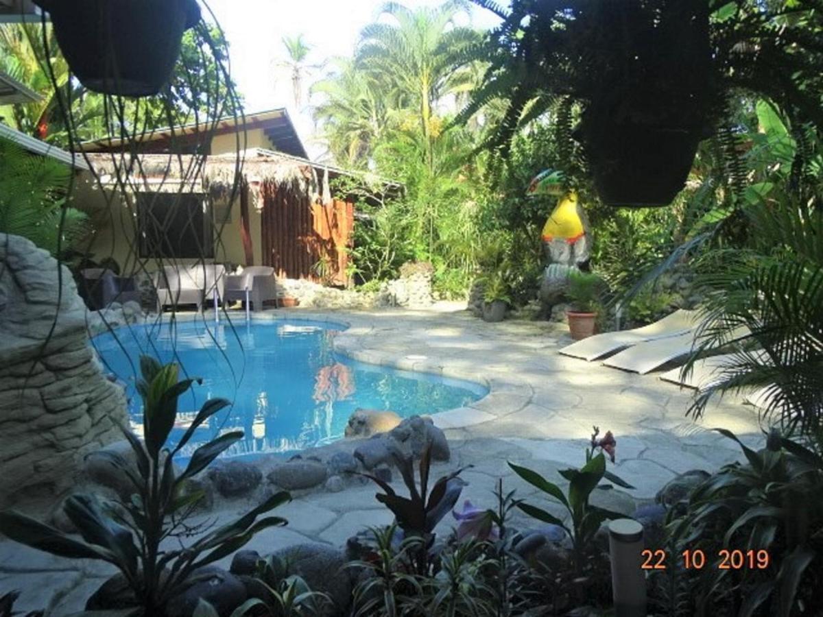 Hotel Caribbean Coconut カウイータ エクステリア 写真