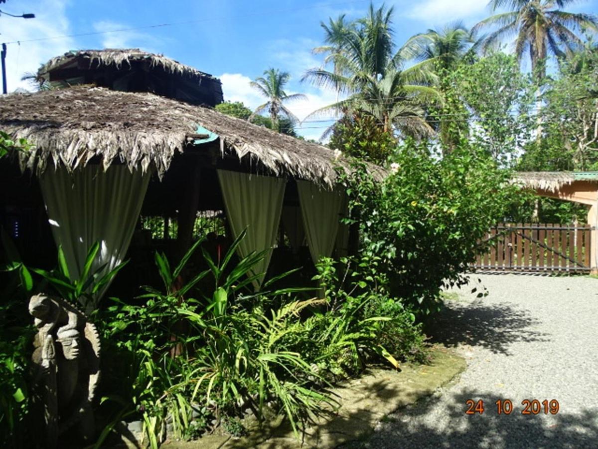 Hotel Caribbean Coconut カウイータ エクステリア 写真